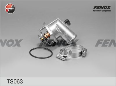 Термостат FENOX TS063