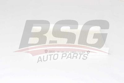 Фильтр вентиляции салона BSG BSG25145001