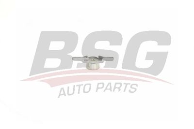 Ролик натяжителя BSG BSG30615004