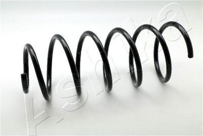 Пружина подвески передняя STANDARD SPRINGS ST135031F