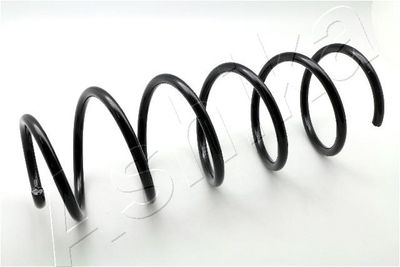 Пружина передняя STANDARD SPRINGS ST135051F