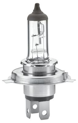 Лампа накаливания HELLA 8GJ242632101