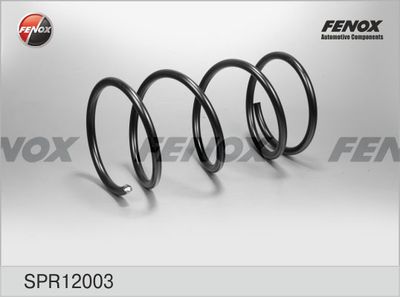 Пружина подвески передняя FENOX SPR12003