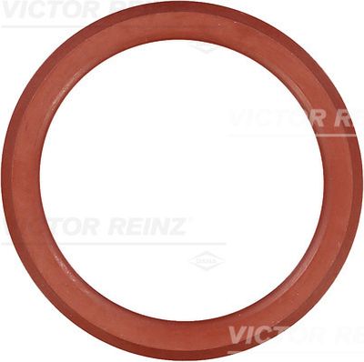 Прокладка клапанной крышки двигателя VICTOR REINZ 713855200