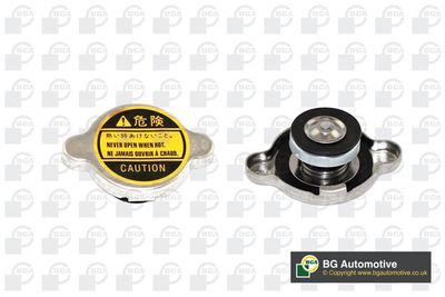 Крышка бачка расширительного BGA CC3040