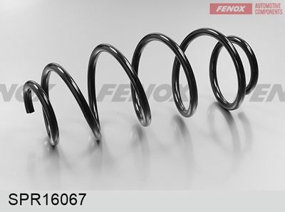 Пружина подвески передняя FENOX SPR16067