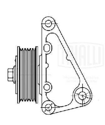 Натяжитель приводного ремня TRIALLI CM5625
