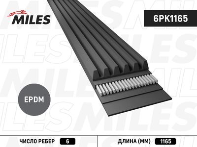 Ремень поликлиновой Miles 6PK1165