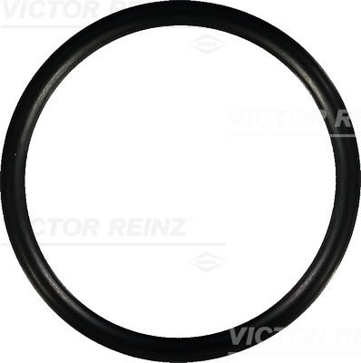 Прокладка впускного коллектора VICTOR REINZ 407675200
