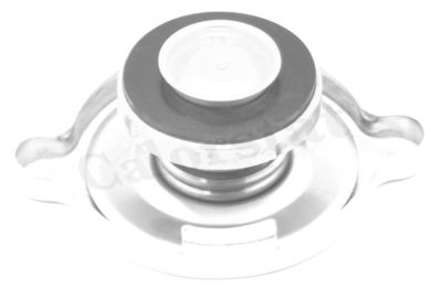 Крышка радиатора VERNET RC0049