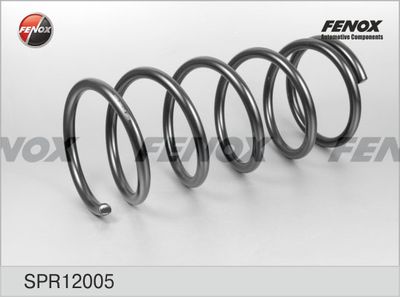 Пружина подвески FENOX SPR12005