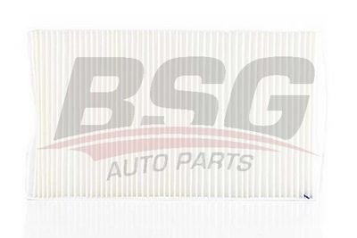 Фильтр салона BSG BSG90145006