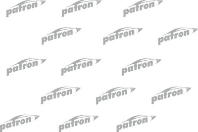 Привод PATRON PDSV019
