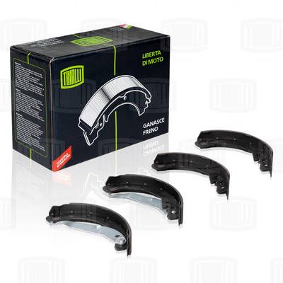 Колодки тормозные барабанные TRIALLI GF2102