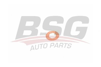 Кольцо уплотнительное топливной форсунки BSG BSG30995048