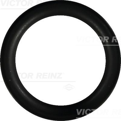 Прокладка впускного коллектора VICTOR REINZ 407624600