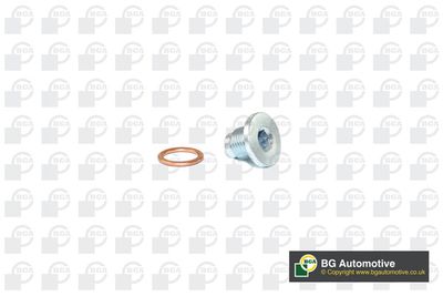 Пробка поддона Citroen/Peugeot 031139
