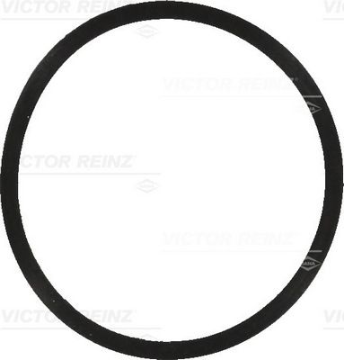 Прокладка впускного коллектора VICTOR REINZ 407757000