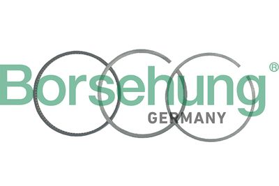 Кольца поршневые Borsehung B19046