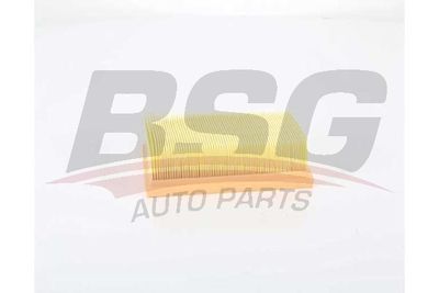 Фильтр воздушный BSG BSG75135022