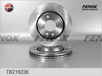 Диск тормозной задний FENOX TB219236