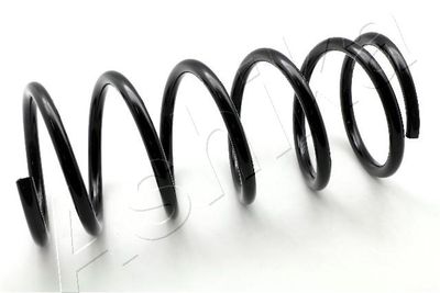 Пружина передняя STANDARD SPRINGS ST132022F