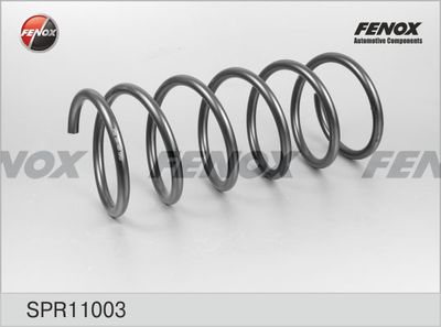 Пружина подвески FENOX SPR11003