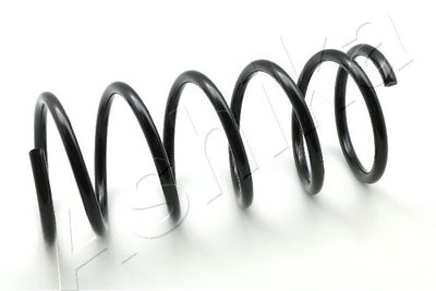 Пружина подвески передняя STANDARD SPRINGS ST112011F
