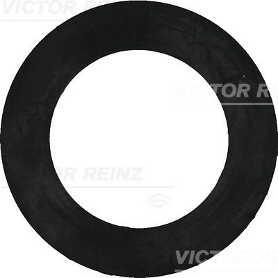 Кольцо уплотнительное VICTOR REINZ 407740800
