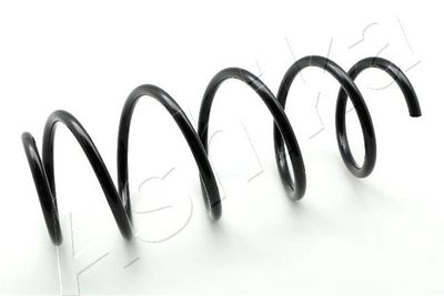 Пружина передняя STANDARD SPRINGS ST109102F