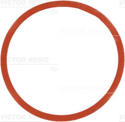 Прокладка впускного коллектора VICTOR REINZ 717754600