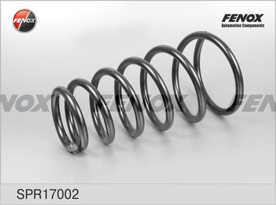 Пружина задняя FENOX SPR17002