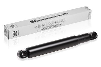 Амортизатор передний TRIALLI AG03011