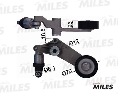 Натяжитель приводного ремня Miles AG00310