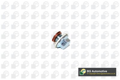 Пробка маслосливного отверстия NISSAN 1112801M00