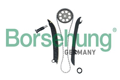 Комплект цепи ГРМ Borsehung B18977