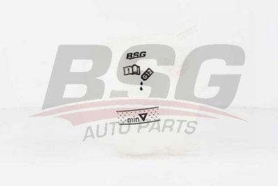 Бачок расширительный радиатора BSG BSG90550001