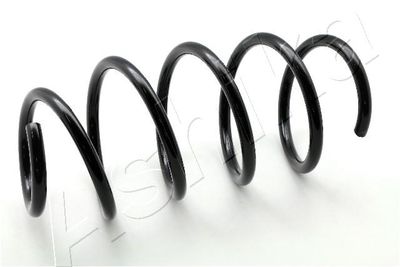 Пружина подвески передняя STANDARD SPRINGS ST111053F