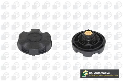 Крышка бачка расширительного BMW 17117639020