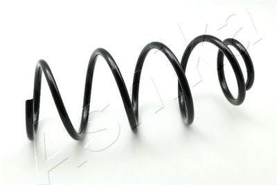 Пружина передняя STANDARD SPRINGS ST134096F