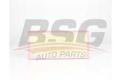 Фильтр воздушный BSG BSG90135032