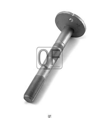Болт с эксцентриком QUATTRO FRENI QF00X00010