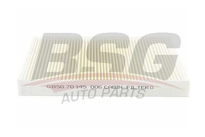 Фильтр салона BSG BSG70145003