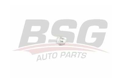 Гайка BSG BSG30230050