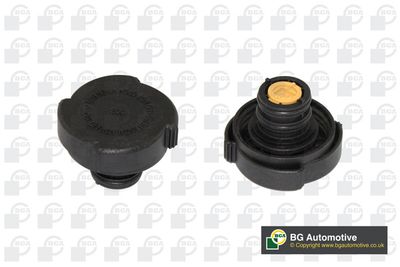 Крышка бачка расширительного BMW 17117639022