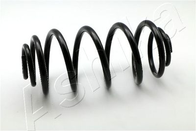 Пружина задняя STANDARD SPRINGS ST124070R