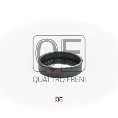 Кольцо уплотнительное свечного колодца QUATTRO FRENI QF53A00015