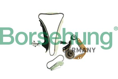 Комплект цепи ГРМ Borsehung B19254