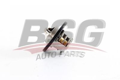 Термостат BSG BSG75126007