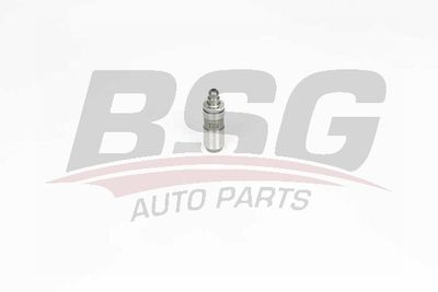Гидрокомпенсатор BSG BSG40122028